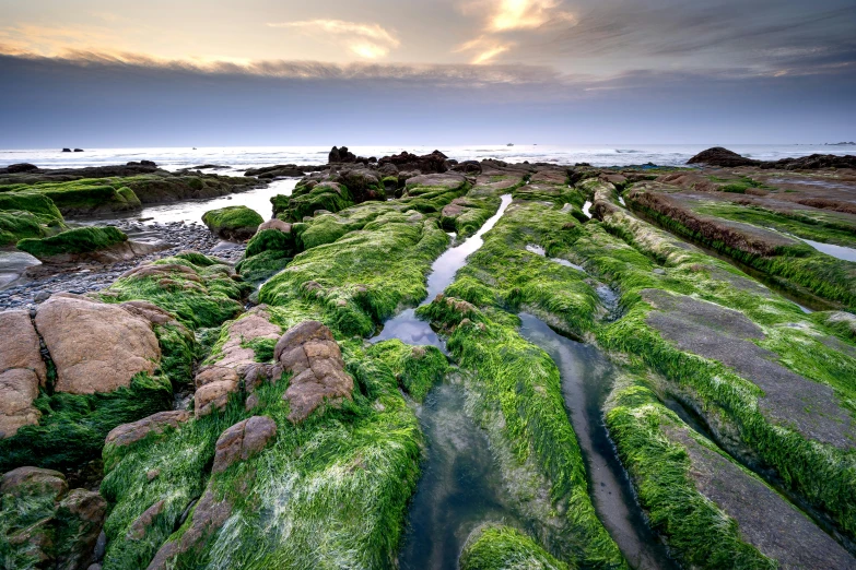 a very pretty beach scene with the tide in