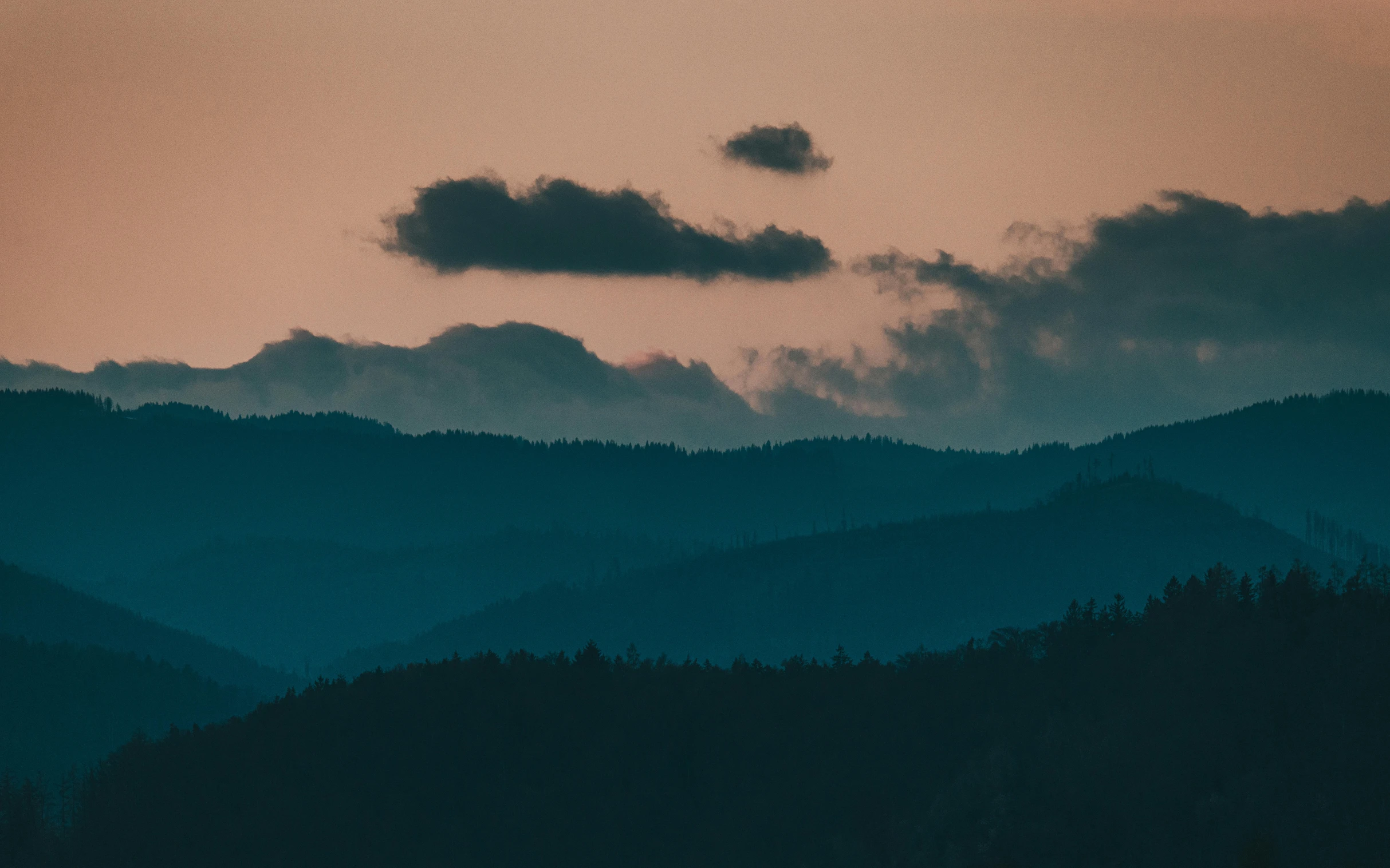 a bird flying in front of a dark blue sunset