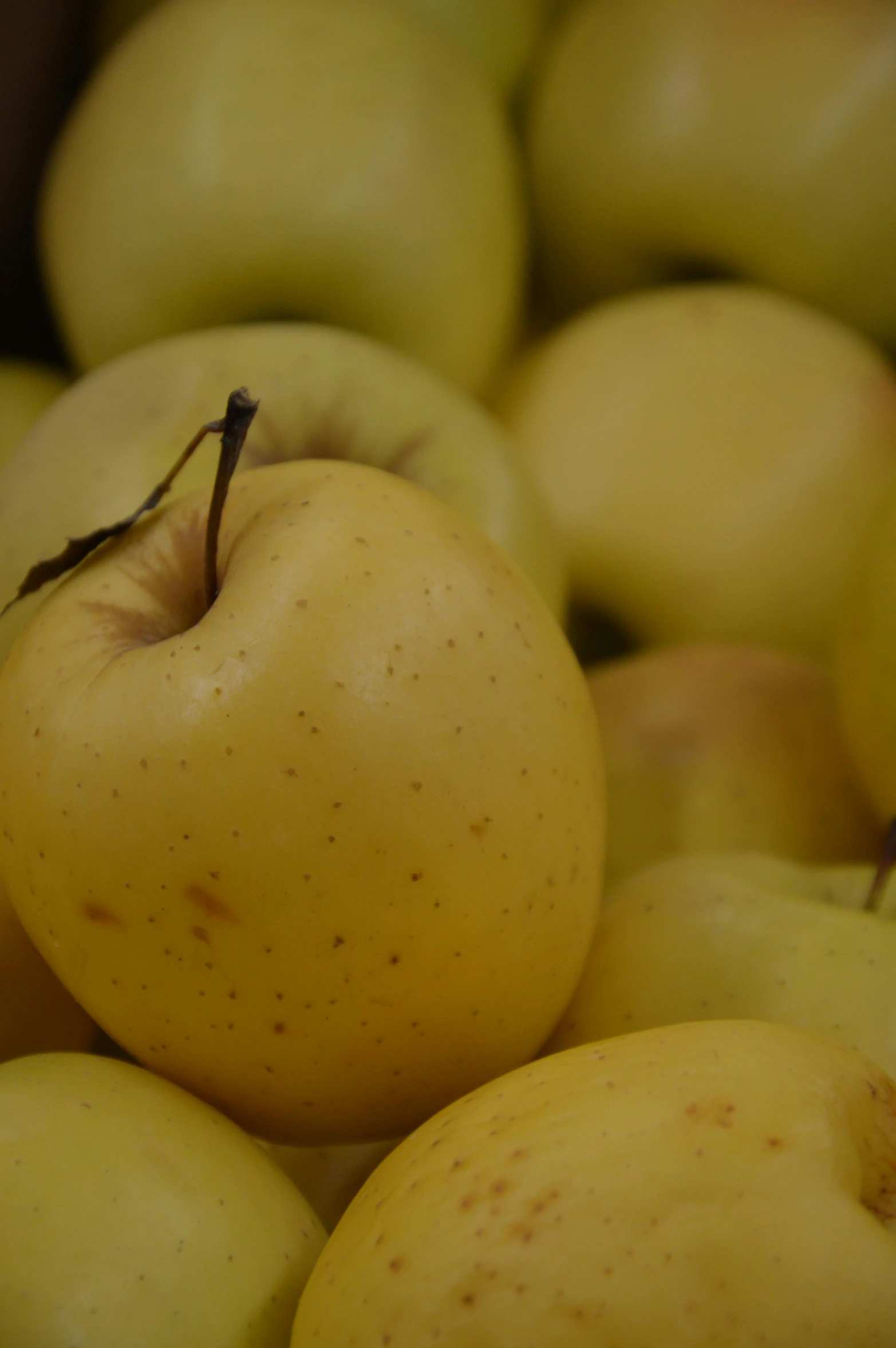 several apples with brown spots sit together