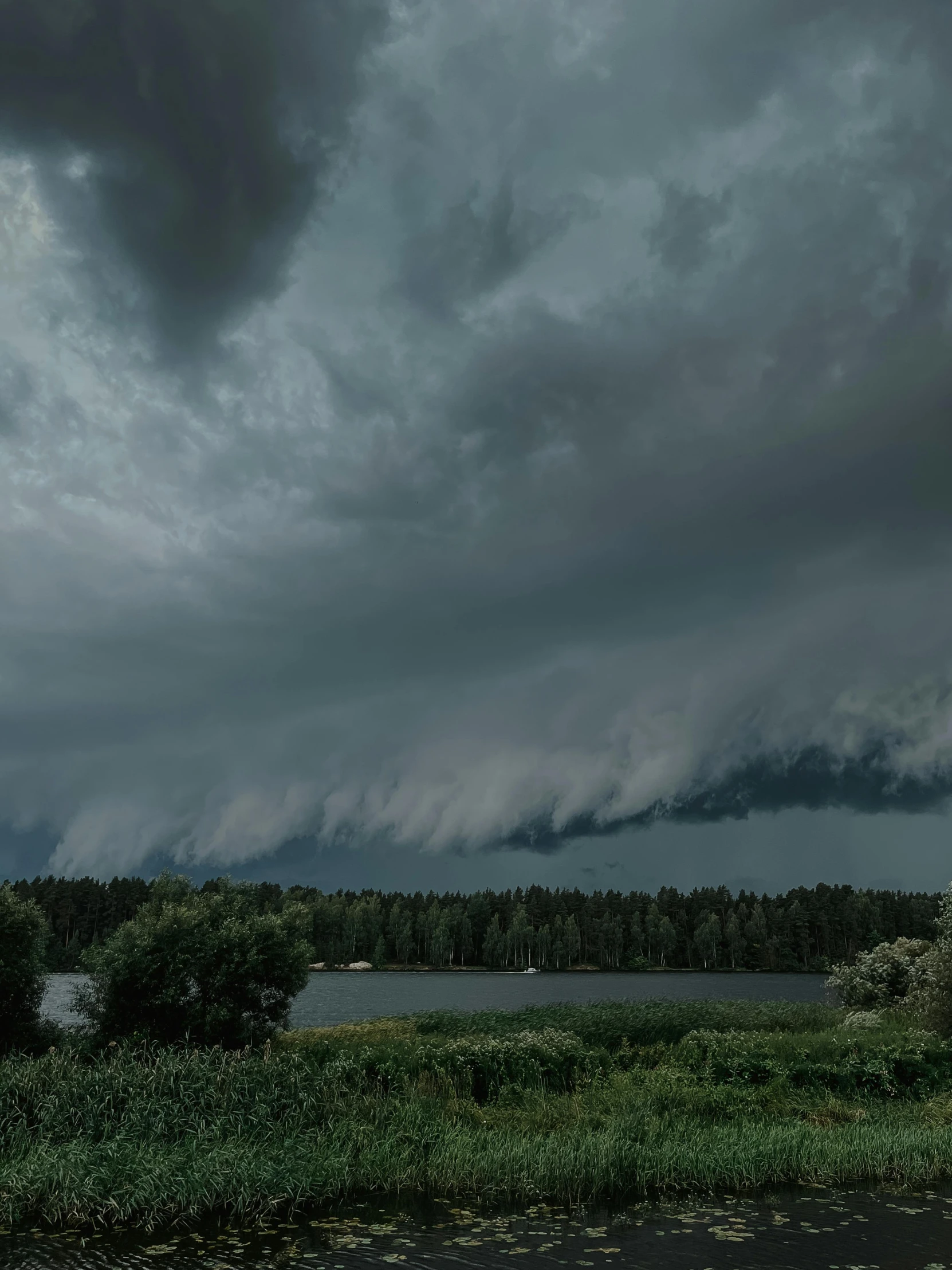 a dark cloud hangs over a lake in a wooded area