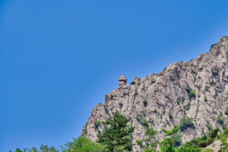 an owl sitting on a mountain with a clear blue sky