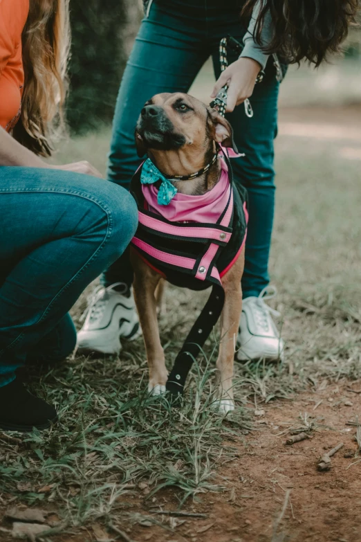 two people kneeling down and petting a dog