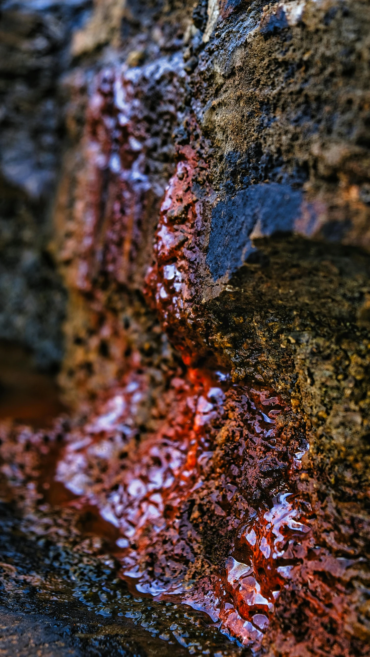 a rock that is covered in a lot of red rocks