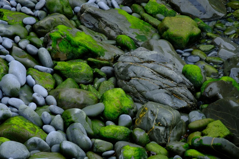 there is a stone and green moss on the rocks