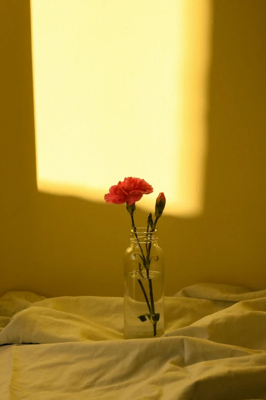 a clear vase with pink flowers sits on a bed