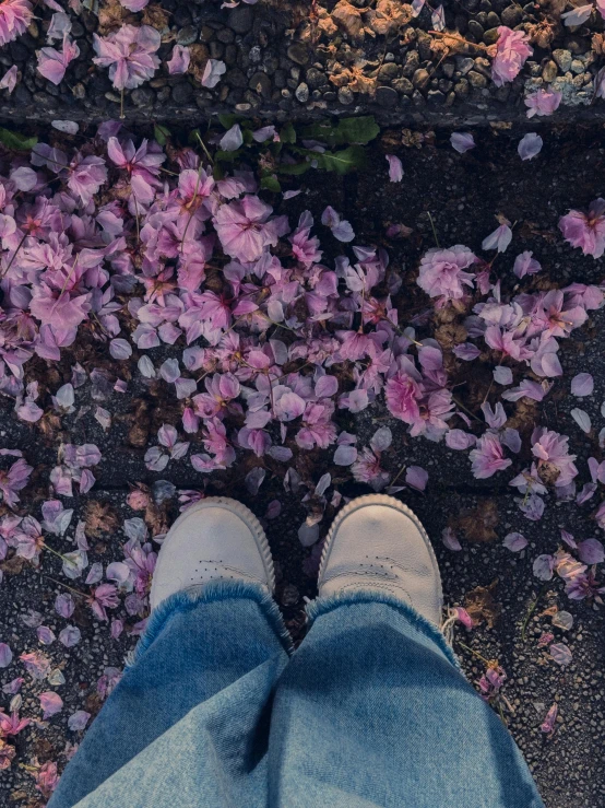 a person standing on the sidewalk surrounded by purple flowers