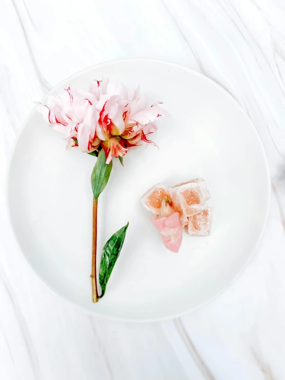 a white plate with two pink flowers and sushi on it