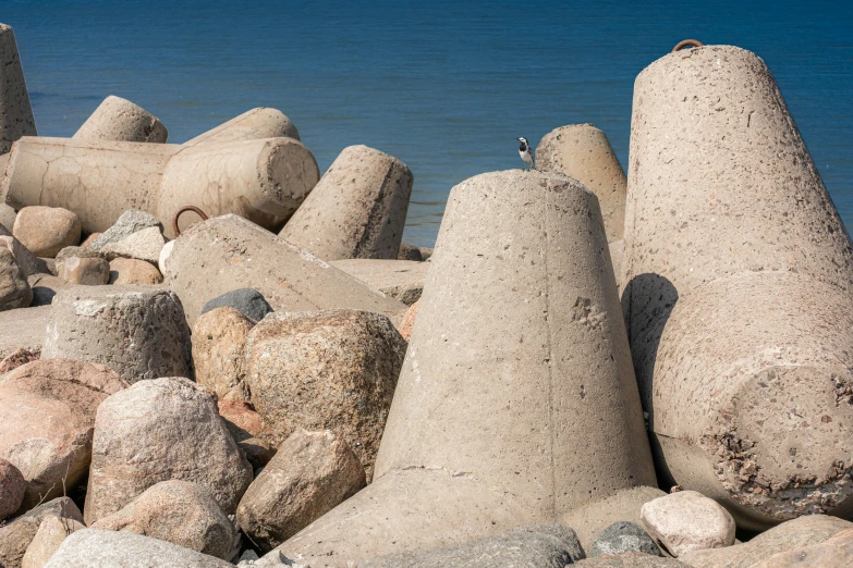 rock piles that look like sculptures of people on the beach