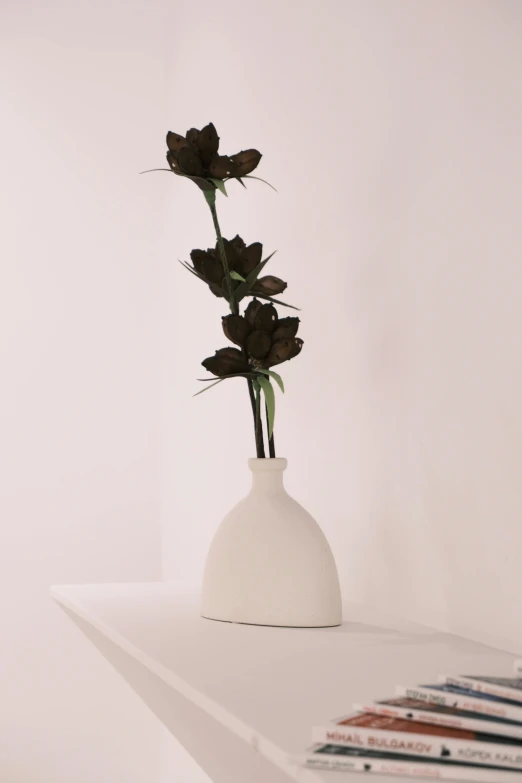 a white vase holding three flowers on a shelf