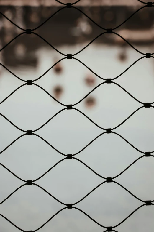 the top of a mesh net with some small birds in the water