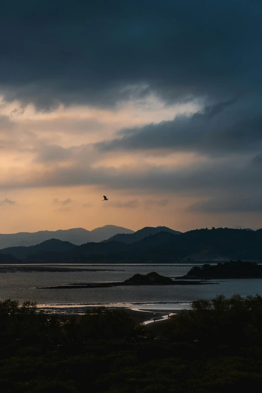 the birds are flying on the mountains in the distance