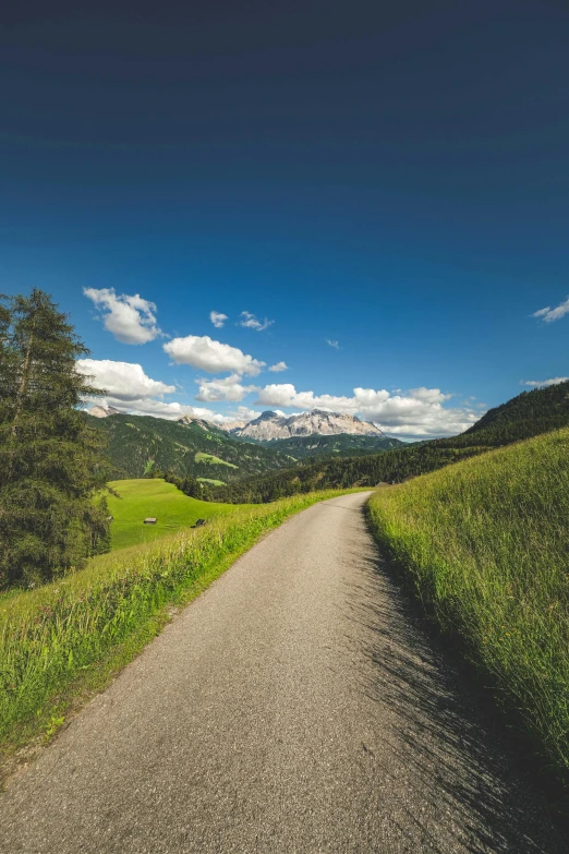 an empty dirt road that is next to trees