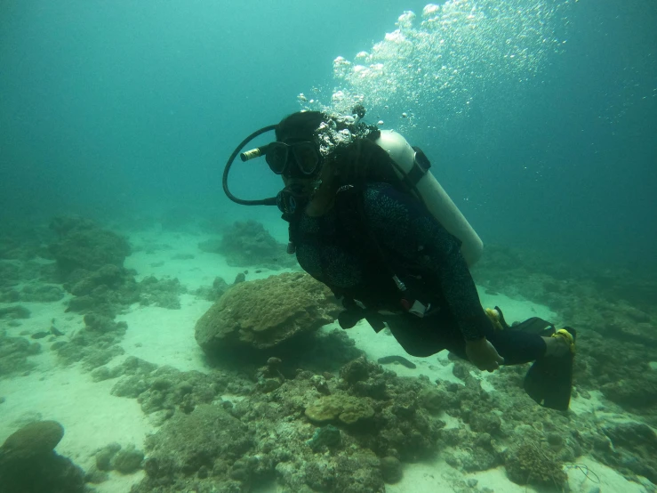 a scuba diver is seen diving near an underwater coral