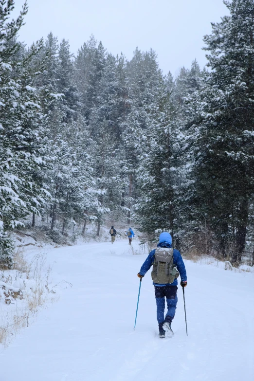 a man on skis trekking across a snowy forest