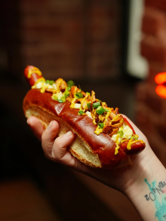 a person holding a long dog with toppings