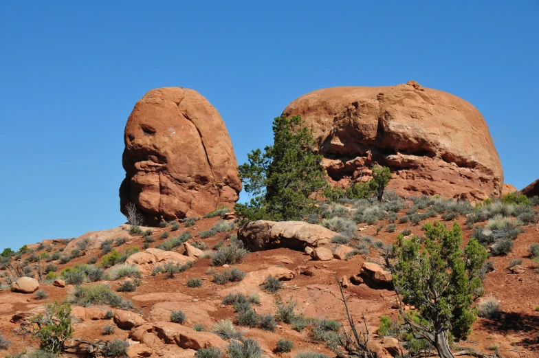 large boulders of varying sizes and shapes with little bushes and grass in the foreground