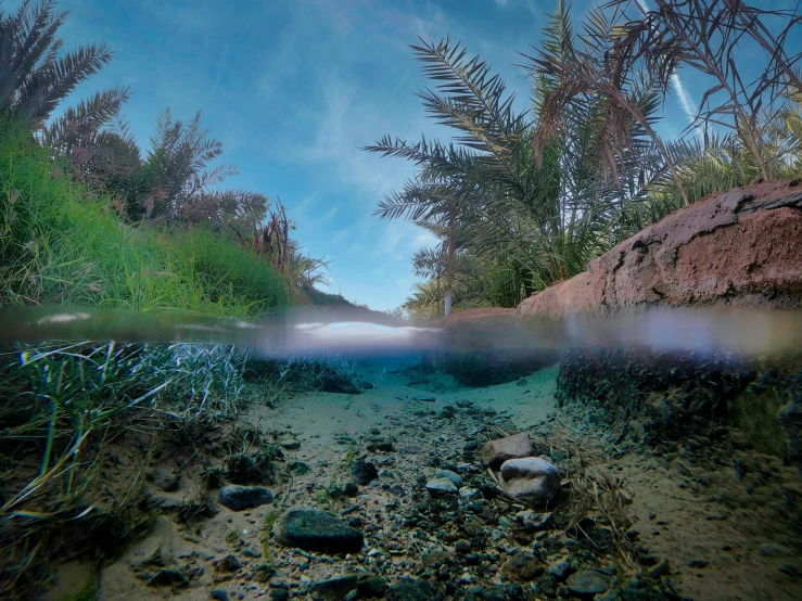 a rocky shore under blue skies with a very shallow river