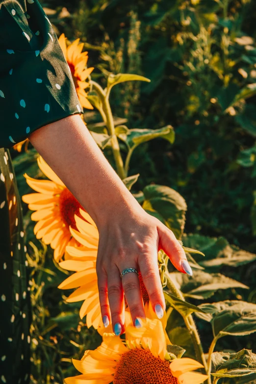 a close up of a person holding a sunflower