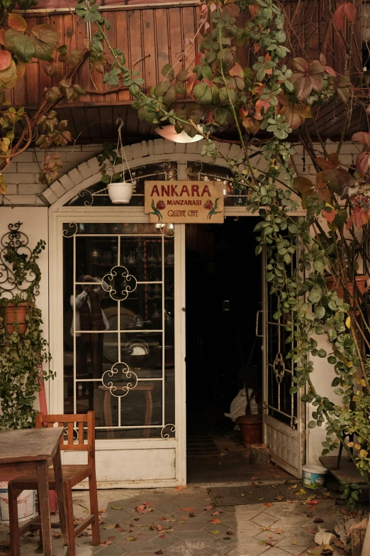 an outdoor restaurant has several plants growing outside