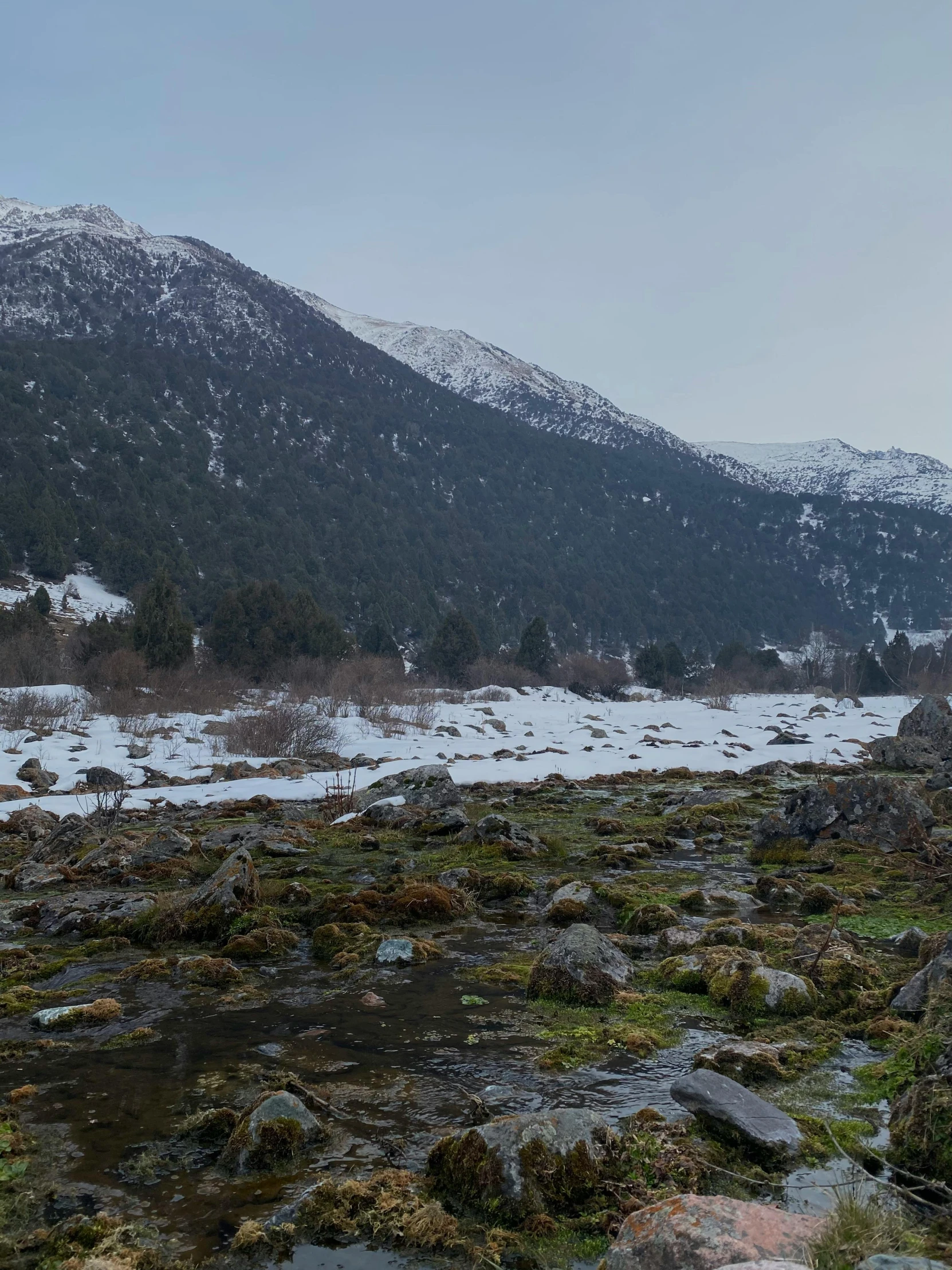 the snow covered mountains are very clear against the green grass