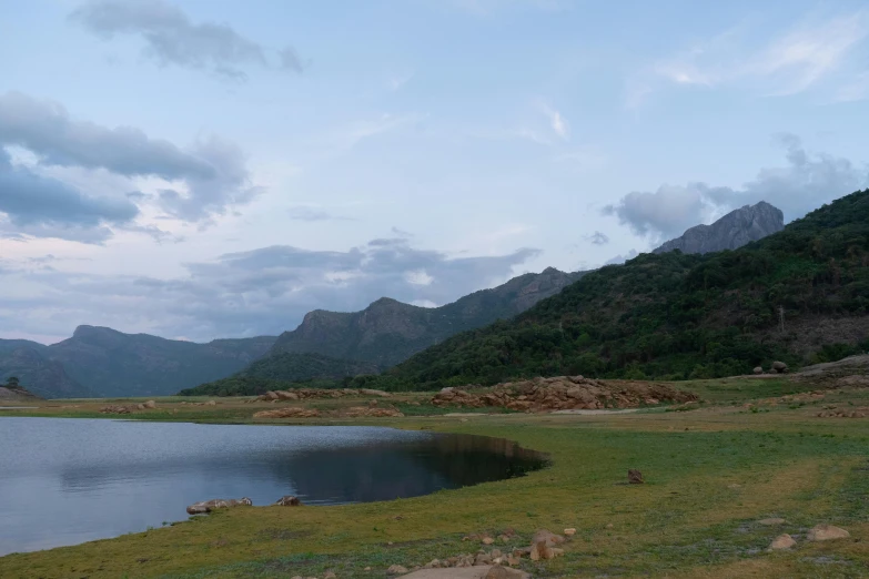 water, grass and mountains are in the background