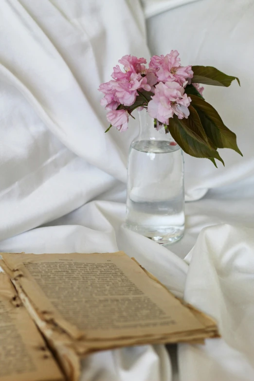 the pink flower is in a clear glass vase with water