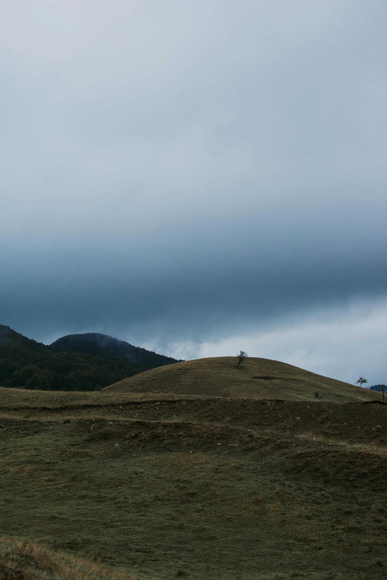 a horse grazing on a field under some very cloudy sky