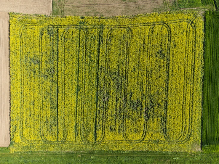 a field that has been cut into rows with an aerial view of it