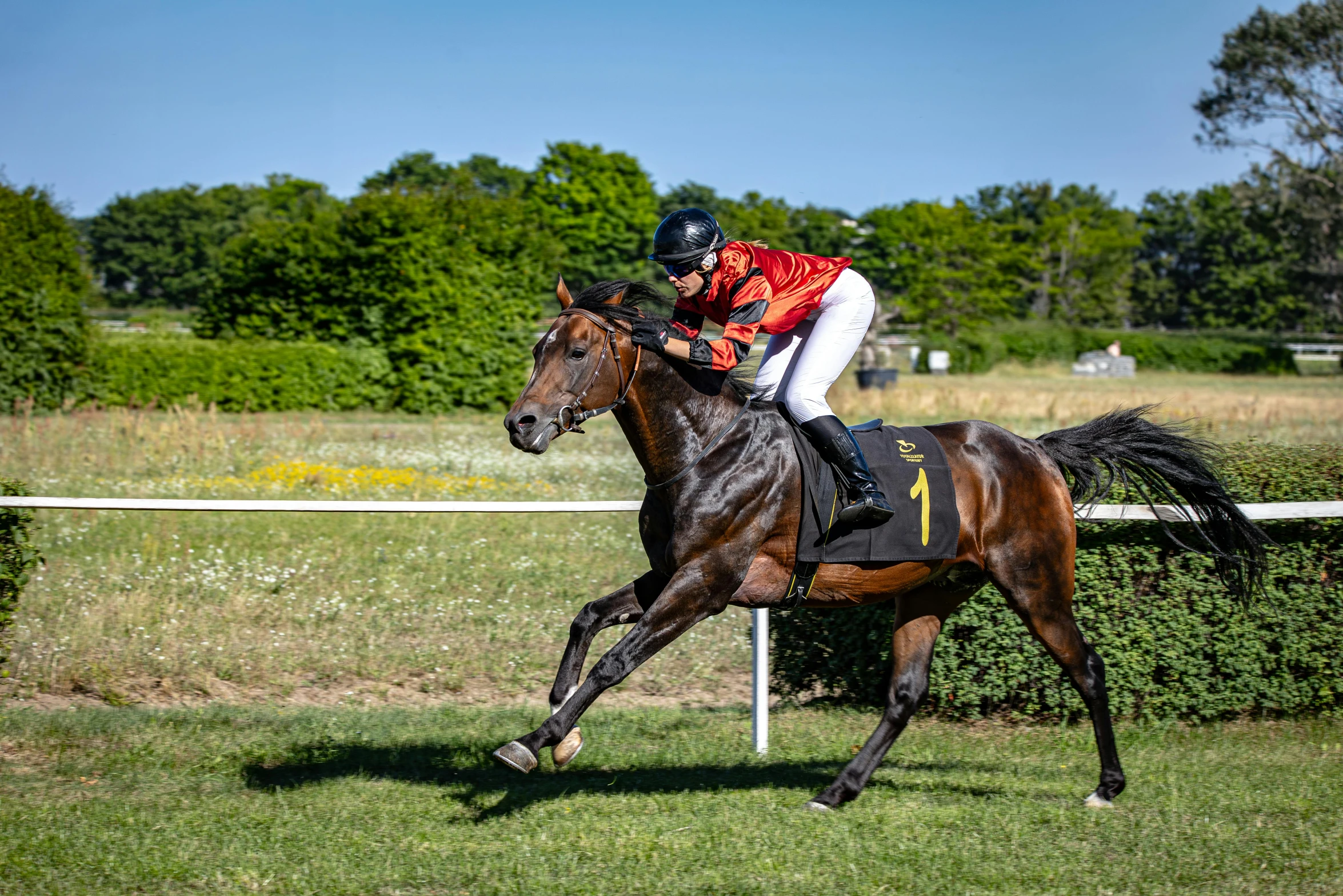 a horse with jockey and yellow vest on back, on grass track