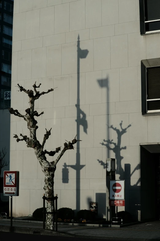 a street lamp and pole with one of the posts casting a shadow on a wall