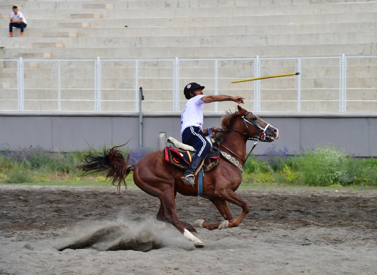 a man on a horse with a baseball bat on it