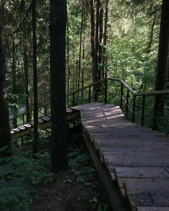 a wooden platform in the woods with trees around