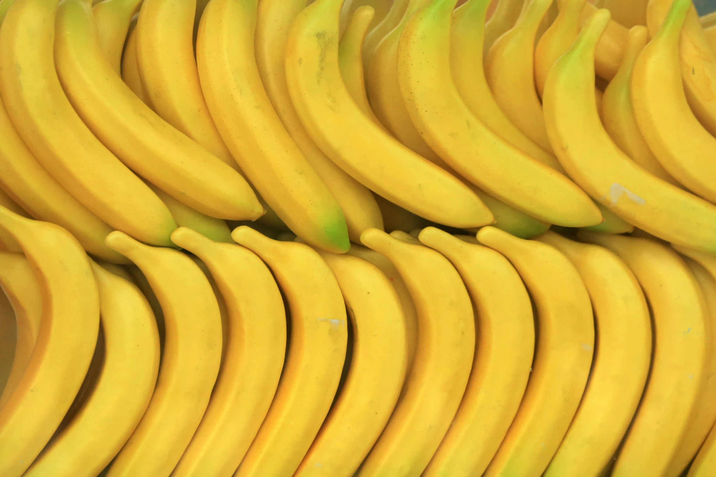 large yellow bananas in bunches on display