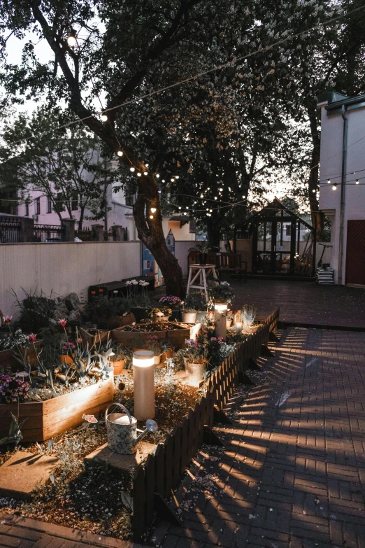 the path made from several wood blocks is covered with plants