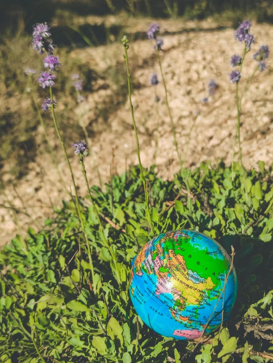 a globe is in the grass in a field