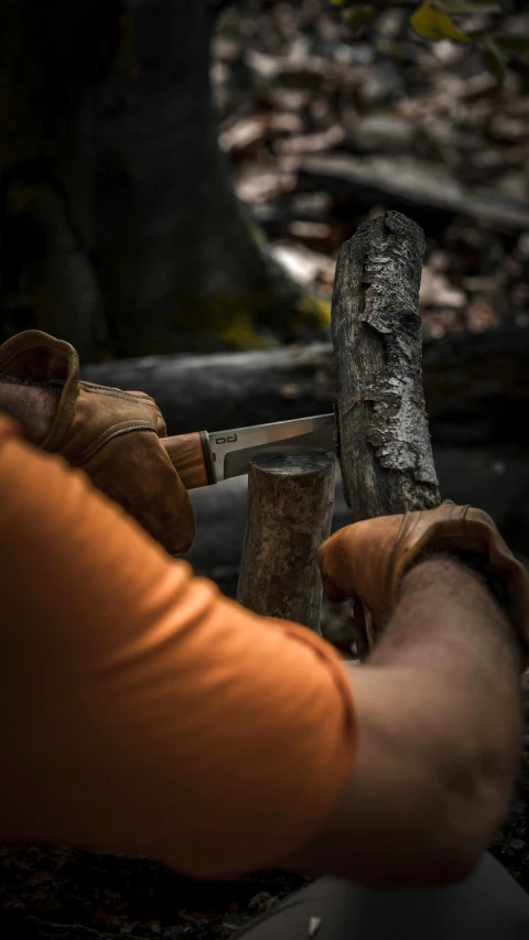 a person holding a wooden object near a tree