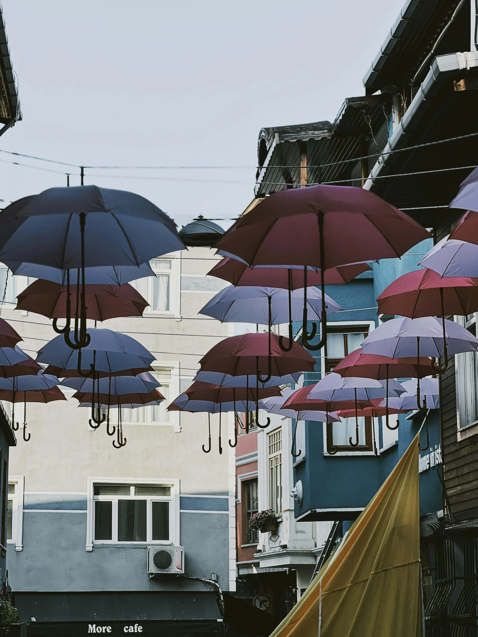 there are a bunch of purple and purple umbrellas outside