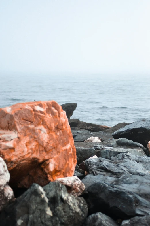 a polar bear laying on the rocks next to the water