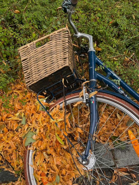 a blue bicycle sitting in the middle of leaves and grass