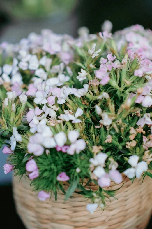 some pink flowers in a wicker basket