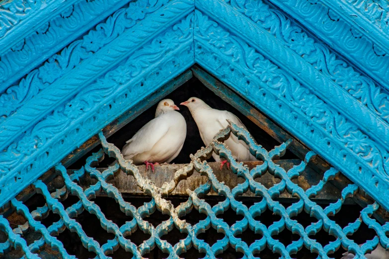 a couple of birds are standing on some blue frames