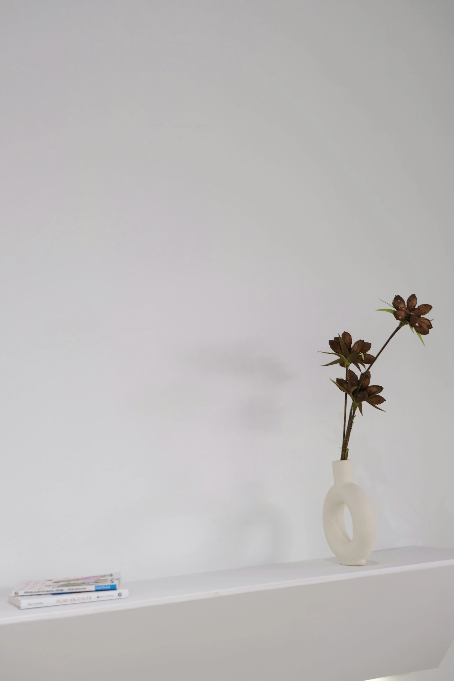 a single flower in a vase sitting on a shelf