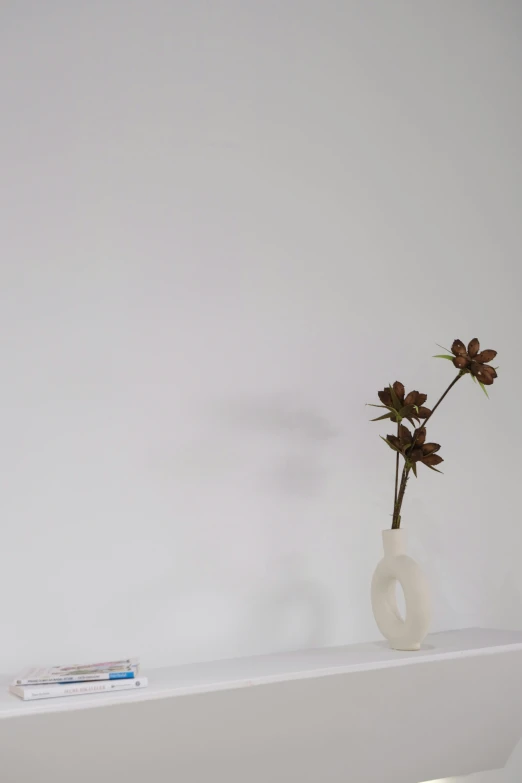 a single flower in a vase sitting on a shelf