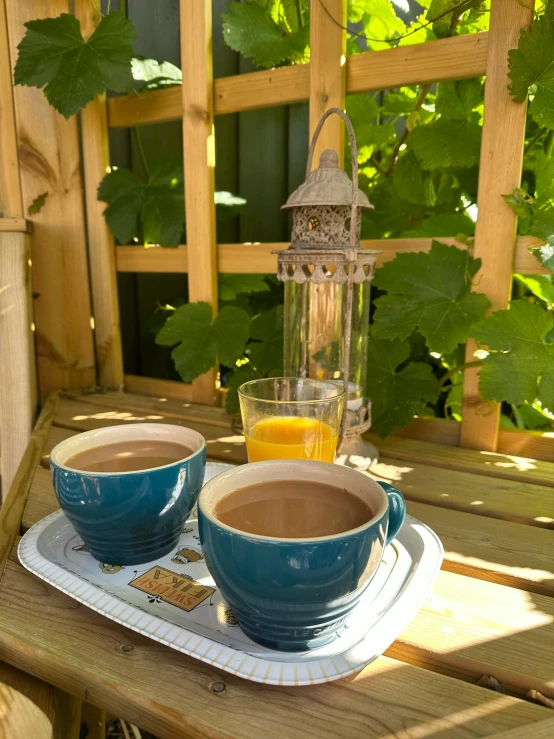 a couple of cups on a tray filled with liquid