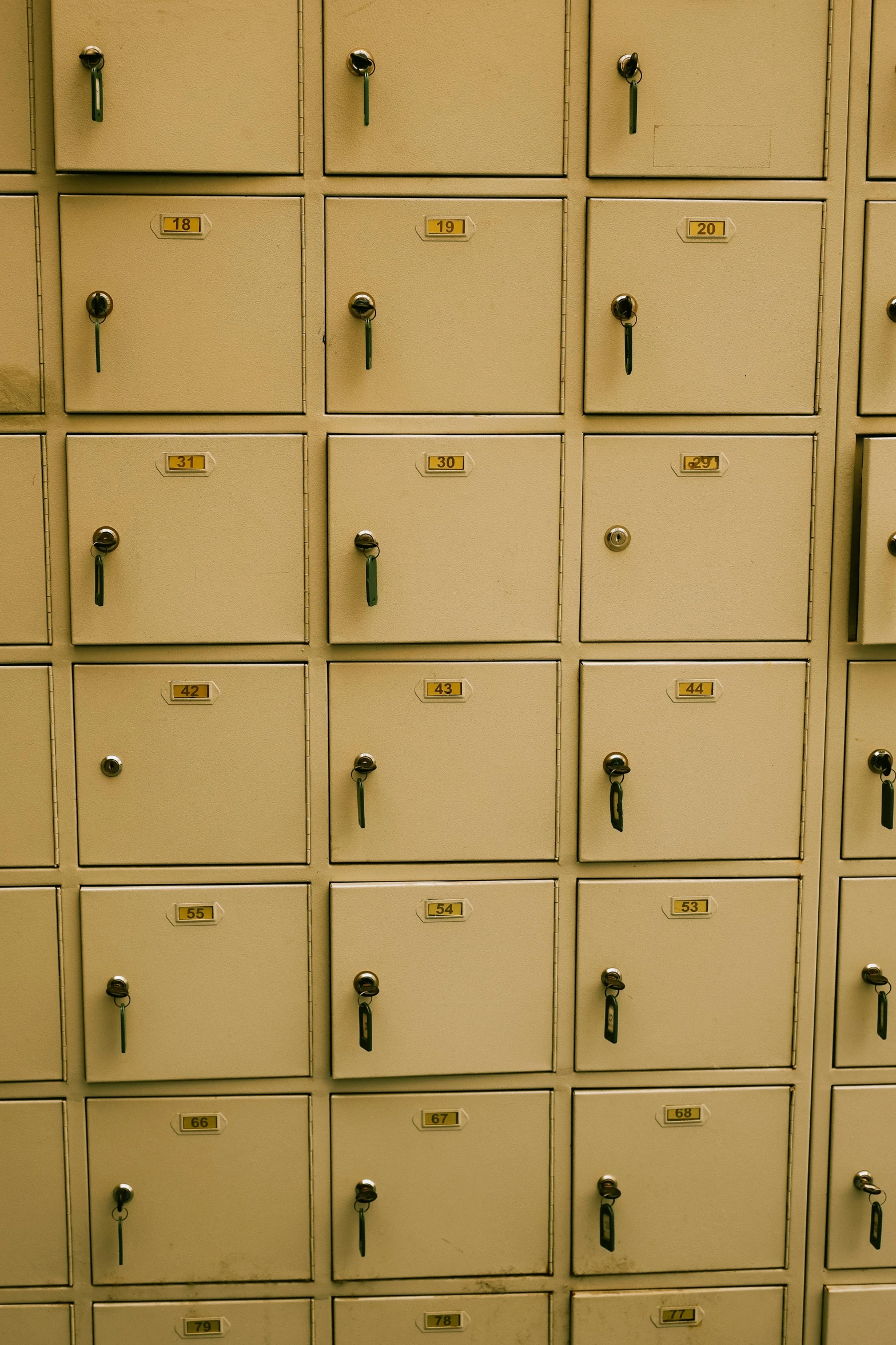 several rows of lockers on the wall by each other