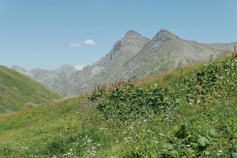 a bench in the grass near some mountains