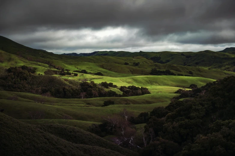 there are many different colors of grass on this hill