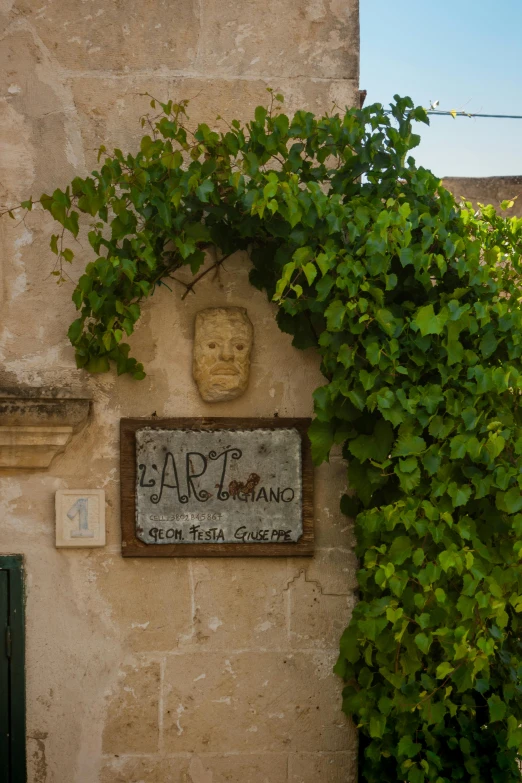 a very pretty stone building with plants growing on it