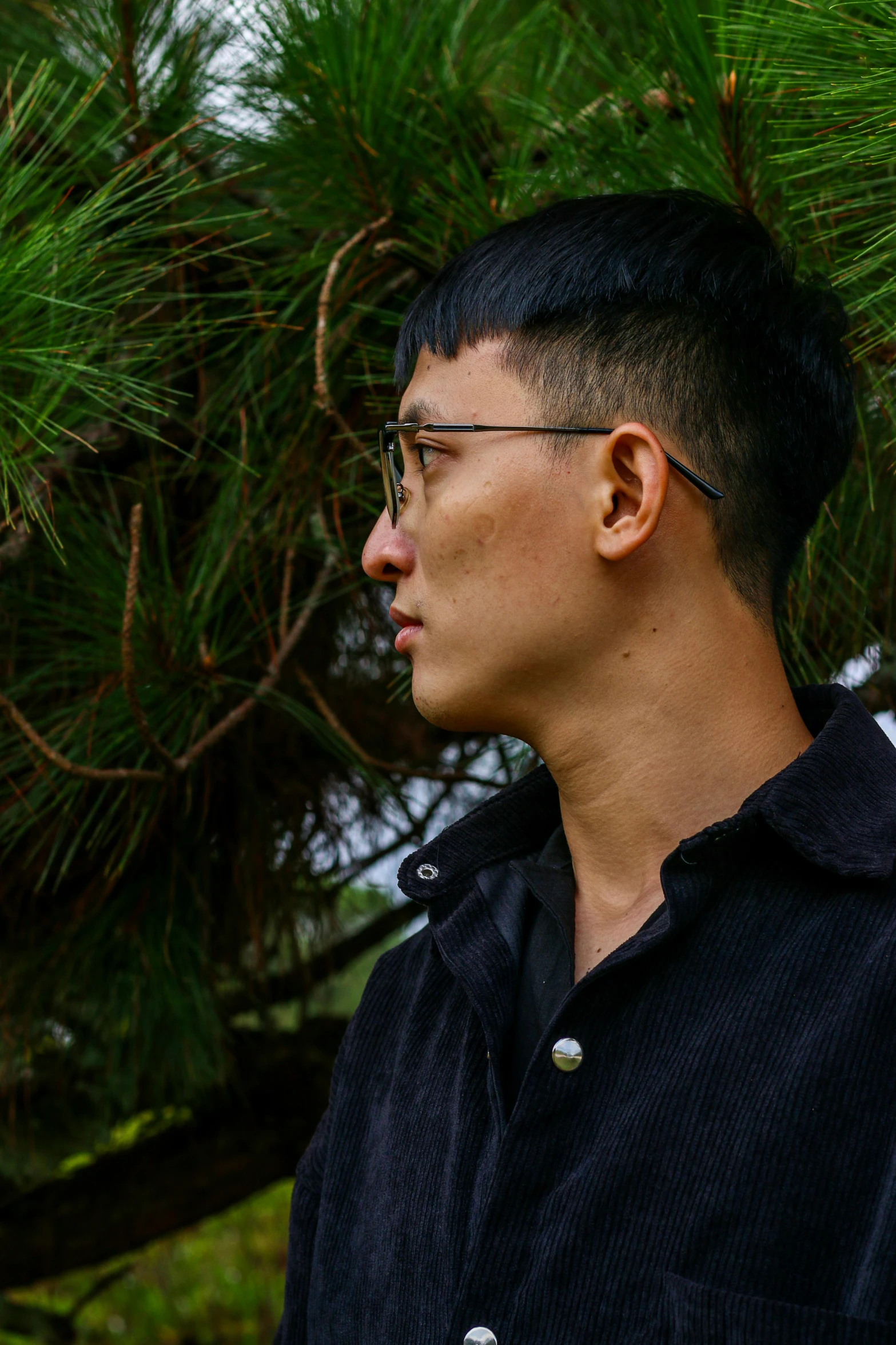 a young asian man standing next to a pine tree