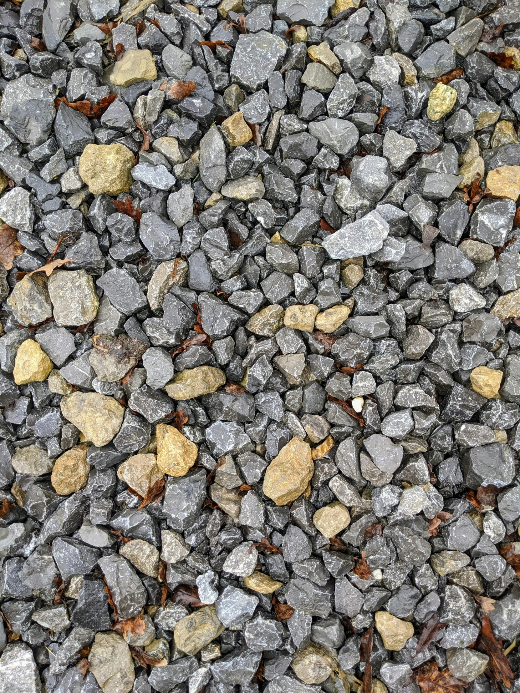 rocks and gravel are scattered around to look like a pattern